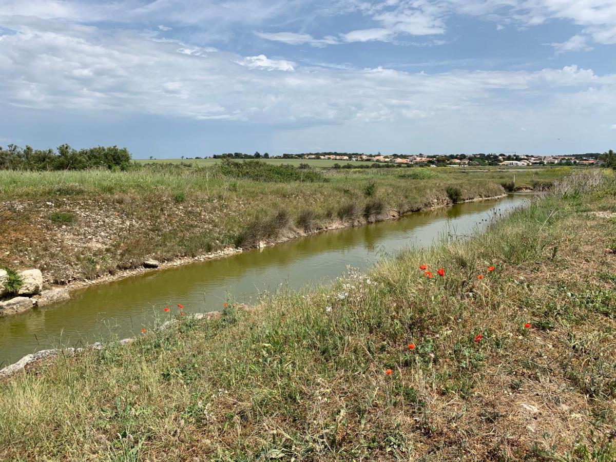 T2 Vue Sur Le Parc Proche Mer Et Ile De Re Le Plomb Εξωτερικό φωτογραφία